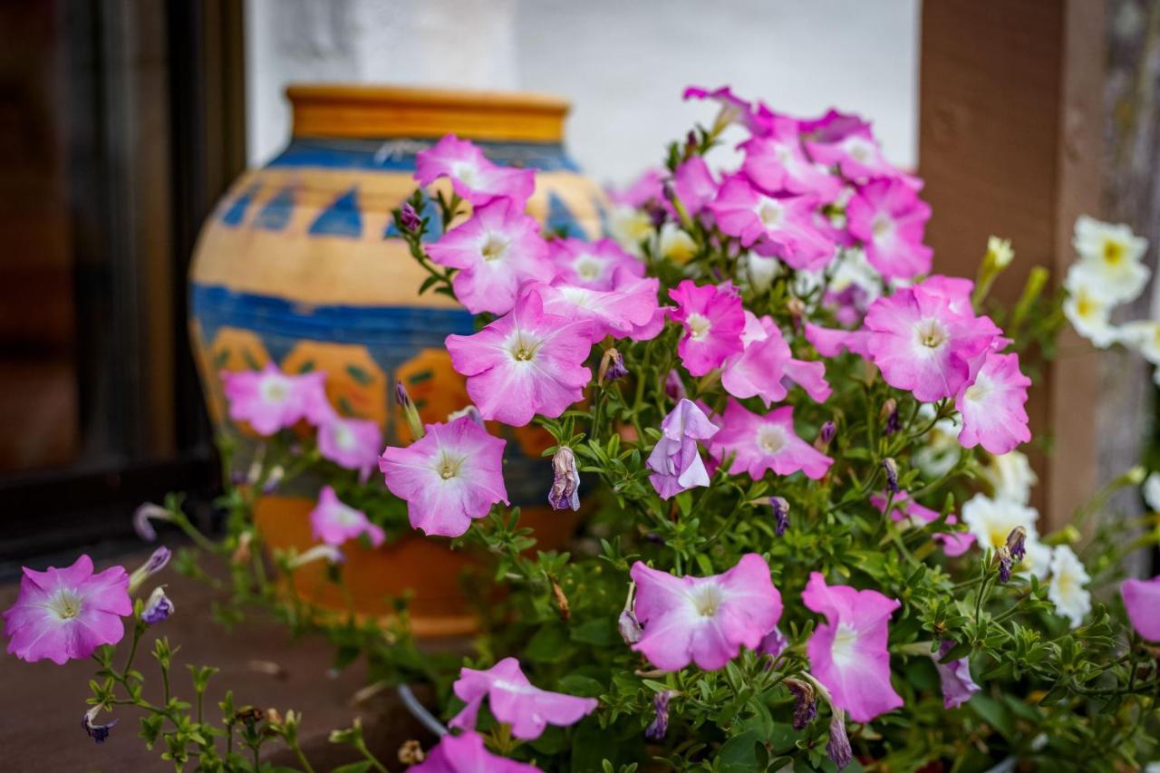 Sensom Luxury Bed&Breakfast Sapphire Beach Eksteriør billede